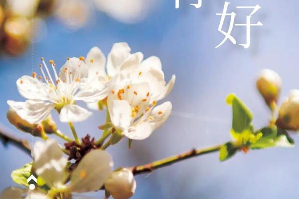 2020年4月25号适合结婚吗(4月25号结婚好吗) 2020年4月25号适合结婚吗(4月25号结婚好吗)