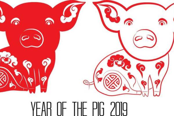 属兔女2022年结婚好吗(属兔女2022年结婚好吗) 属兔女2022年结婚好吗(属兔女2022年结婚好吗)