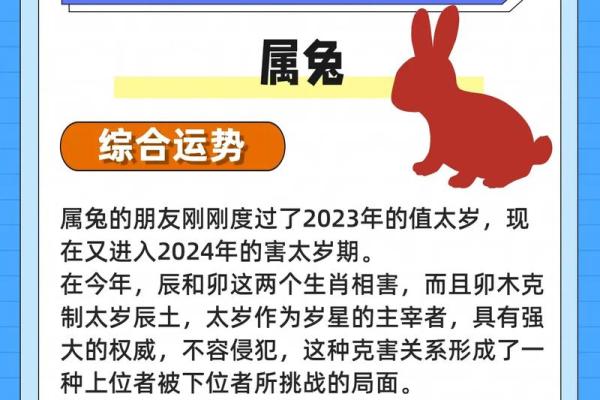 属兔2025虚岁多大 2025年属兔人虚岁多大详细解析年龄计算方法