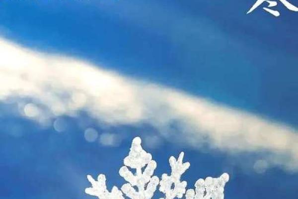 小寒大寒冻成一团是什么意思 小寒大寒冻成一团是什么意思