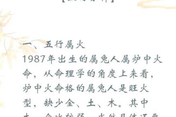 1999年属兔男孩事业运势解析与成功秘诀