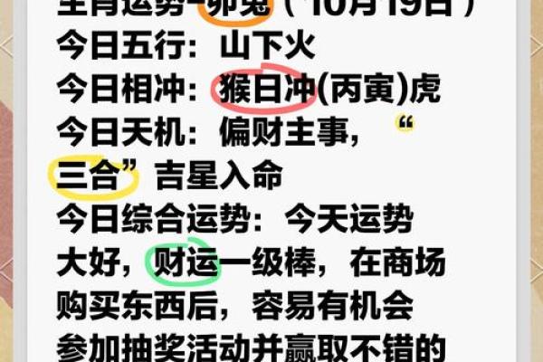 2026年属兔人的全年运势_2026年属兔人全年运势详解财运事业爱情全解析 2026年属兔人的全年运势_2026年属兔人全年运势详解财运事业爱情全解析