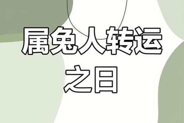 属兔2025年有大喜缠身_2025年属兔人运势大爆发喜事连连好运不断 属兔2025年有大喜缠身_2025年属兔人运势大爆发喜事连连好运不断