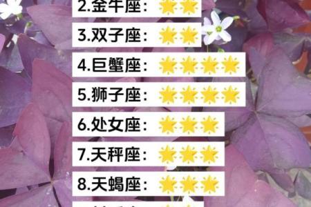 今日十二星座运势解析谁将迎来好运连连