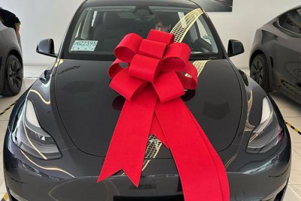 适合提车的日子2021