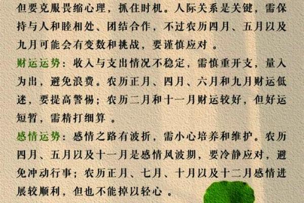 2025年十二星座运势大揭秘谁将迎来巅峰时刻 2025年十二星座运势大揭秘谁将迎来巅峰时刻