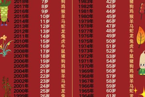 2024年结婚好不好视频(2024年结婚的属相)