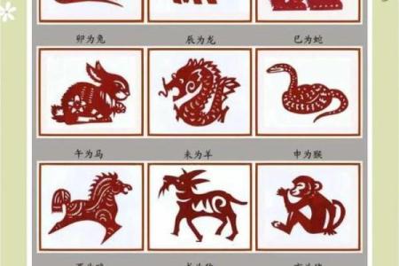 属虎的2023年结婚(2023属虎感情)