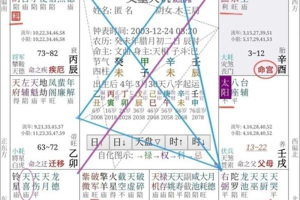 2025年4月11日卯时男命紫微斗数全解盘 2025年4月11日卯时男命紫微斗数全解盘