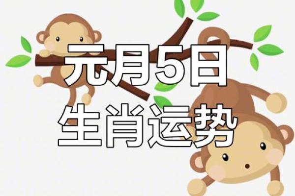 属兔的开业大吉的日期10月 属兔的开业大吉的日期10月