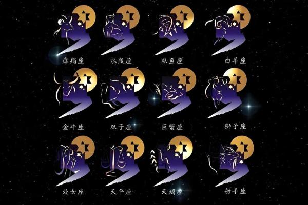 2025年12星座每月运势详解全年运势预测 2025年12星座每月运势详解全年运势预测