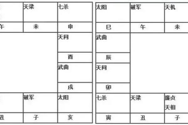 2025年4月25日亥时男命紫微斗数全解盘 2025年4月25日亥时男命紫微斗数全解盘