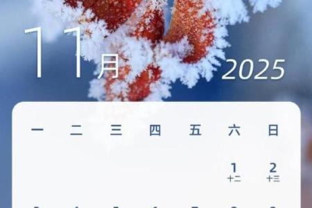 历书2025年月日黄道吉日(2025年日历表全年表)