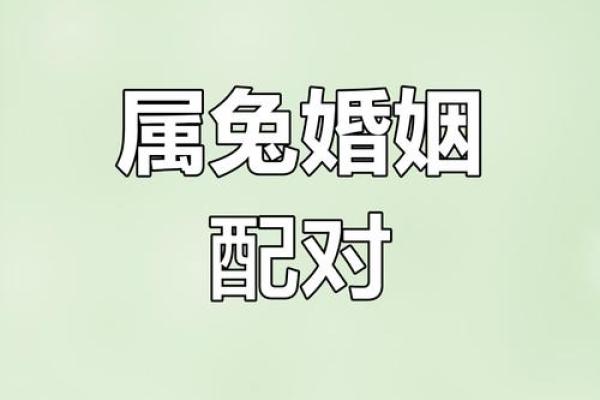 1999年属兔最佳结婚年龄