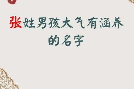 2019年3月27号巳时出生的男孩应该起什么样的名字姓名