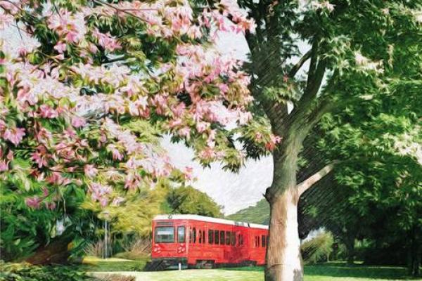 2025年9月出门吉利日子 2025年9月领结婚证最吉利的日子