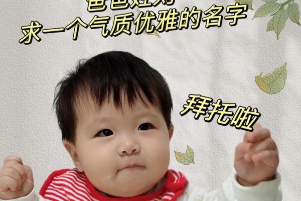2019年出生的姓刘男孩如何起名，宜用什么字姓名