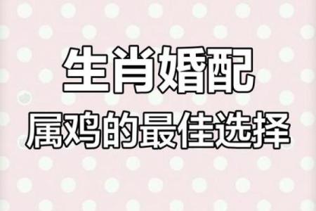 生肖属鸡2025年11月结婚最吉利的日子有哪些 2025年11月属鸡订婚吉日