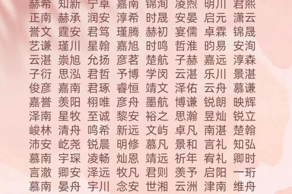 2019年3月20号巳时出生的男孩起名方法姓名