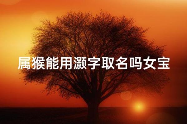 早上八点出生的属猴男孩如何起名，应用什么字姓名