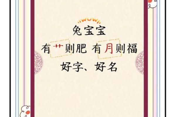 3月份出生的属兔男孩适合取什么名字姓名