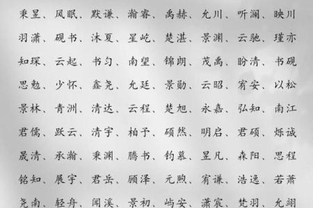 早上八点出生的属猴男孩如何起名，应用什么字姓名
