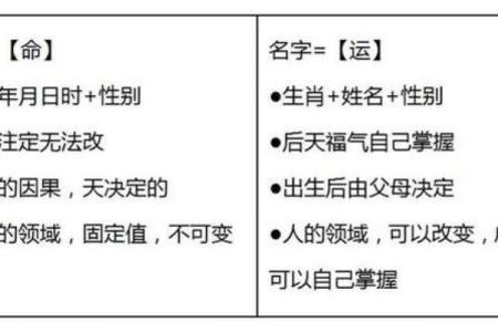 推荐给属兔未时出生的男孩起的名字姓名