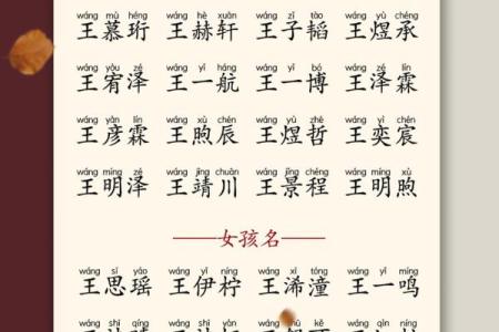 8月份出生的属蛇男孩适合起哪些名字姓名