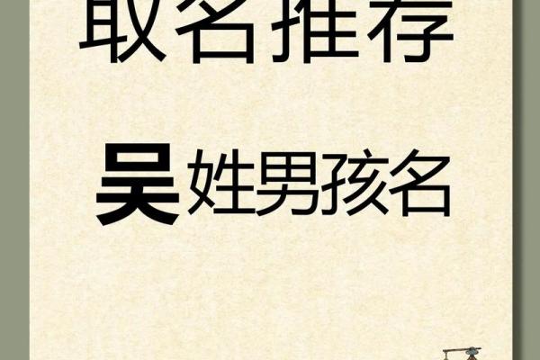 2019年出生的姓吴男孩如何起名，宜用什么字姓名