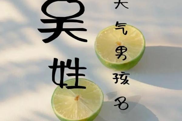 2019年出生的姓吴男孩如何起名，宜用什么字姓名