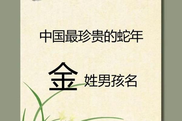 早上九点出生的属羊男孩起什么名，应用什么字姓名