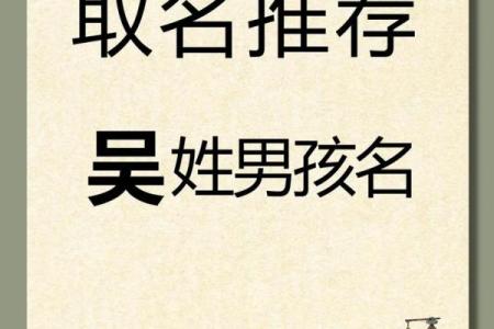 2019年出生的姓吴男孩如何起名，宜用什么字姓名