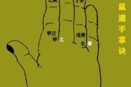 2019年3月24号辛时出生的男孩起名时要注意什么姓名