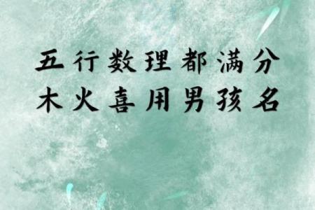 2019年5月31号寅时出生的男孩起名时要注意什么姓名