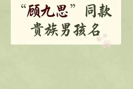 3月份出生的属龙男孩如何取名姓名