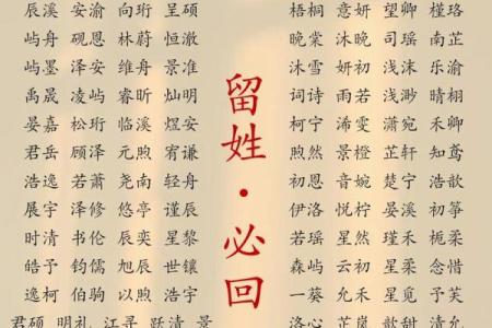 傍晚出生的属羊男孩应该如何起名，宜用什么字姓名