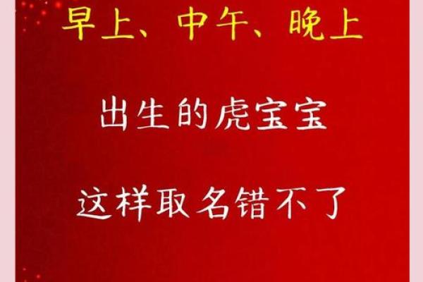 凌晨3点出生的属虎男孩起什么名，用什么字姓名