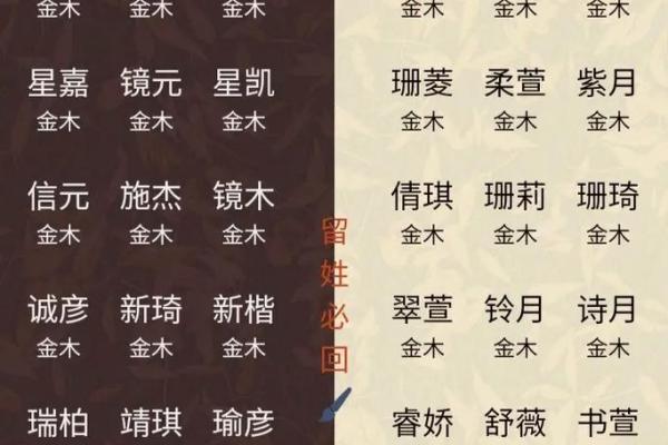 2019年6月23号卯时出生的男孩应该起什么样的名字姓名