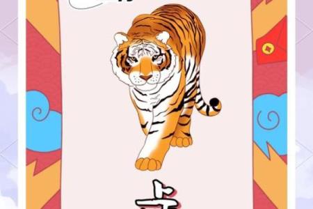 凌晨3点出生的属虎男孩起什么名，用什么字姓名