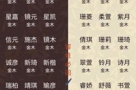 2019年6月23号卯时出生的男孩应该起什么样的名字姓名