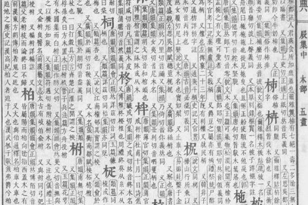 柏姓男孩名字大全-柏姓男孩起名字大全-柏姓名字大全姓名