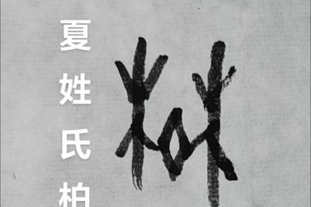 柏姓男孩名字大全-柏姓男孩起名字大全-柏姓名字大全姓名