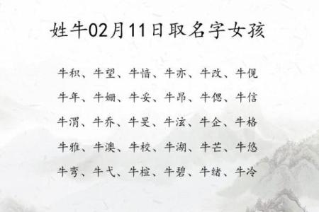 晚上出生的属牛男孩取名技巧大全姓名