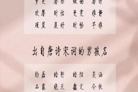 2019年4月24号卯时出生的男孩如何起名姓名
