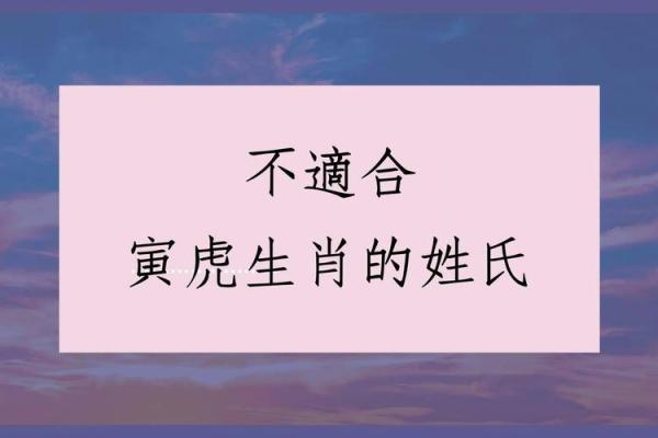 上午出生的属虎男孩适合起什么名，用什么字姓名