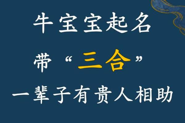 午时出生的属牛男孩适合用哪些字起名姓名