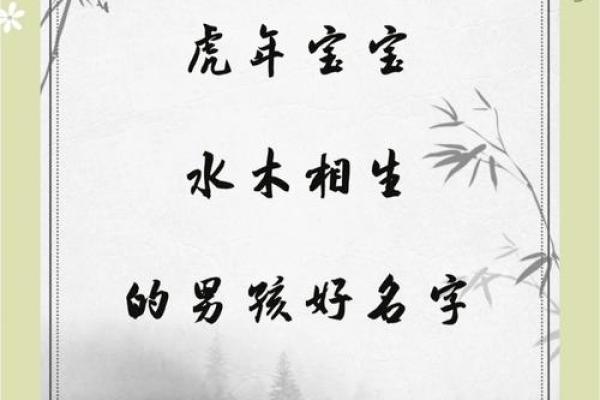 2019年4月3号寅时出生的男孩应该起什么样的名字姓名
