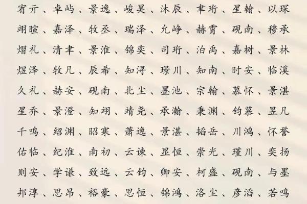 2019年4月3号寅时出生的男孩应该起什么样的名字姓名
