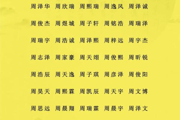 下午2点出生的属蛇男孩如何起名，宜用什么字姓名