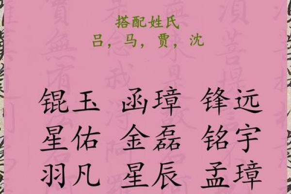 2019年3月28号丑时出生的男孩要怎么起名字姓名